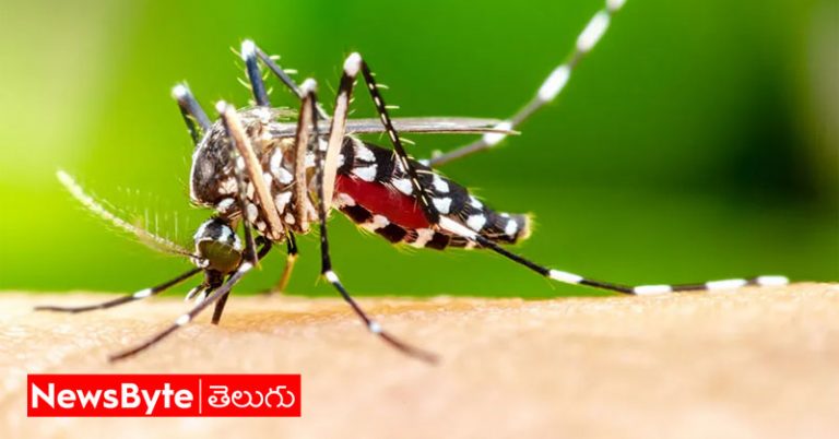 Mosquito: కొందరికే దోమలు ఎక్కువగా కుడుతాయి ఎందుకో తెలుసా?