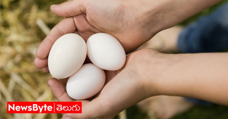 Eggs: శీతాకాలంలో గుడ్డు తినడం వల్ల ఎన్ని ప్రయోజనాలున్నాయో తెలుసా?