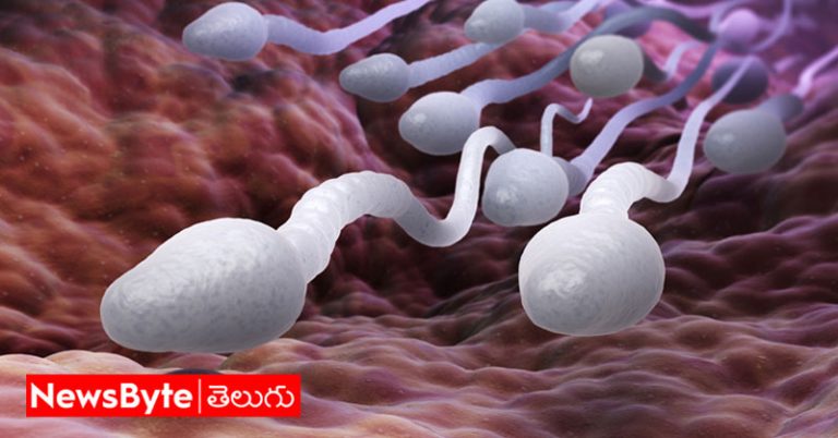 Sperms for Babies: పిల్లలు పుట్టాలంటే వీర్యం ఎలా ఉండాలో తెలుసా?