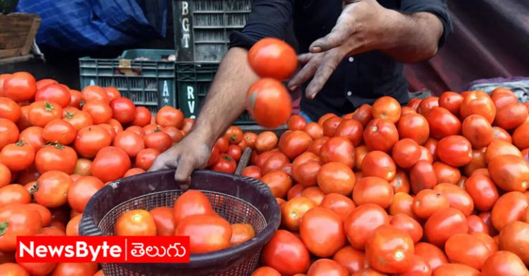 Tomatoes: ఈ రైతు నిజంగా లక్కీనే.. టమాటాలు అమ్మి కోటీశ్వరుడు అయ్యాడుగా!